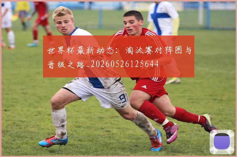 世界杯最新动态：淘汰赛对阵图与晋级之路_20260526125644